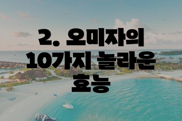 2. 오미자의 10가지 놀라운 효능