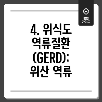 4. 위식도 역류질환 (GERD): 위산 역류