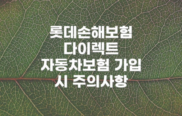 롯데손해보험 다이렉트 자동차보험 가입 시 주의사항
