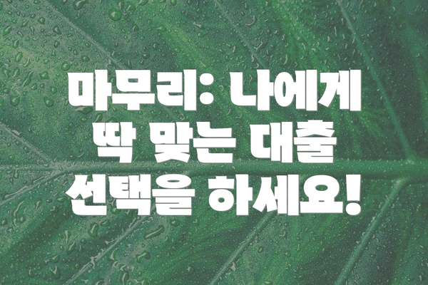 마무리: 나에게 딱 맞는 대출 선택을 하세요!
