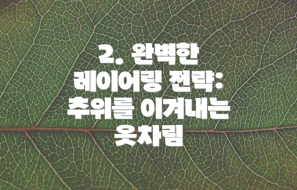 2. 완벽한 레이어링 전략: 추위를 이겨내는 옷차림