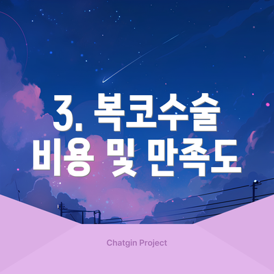 3. 복코수술 비용 및 만족도