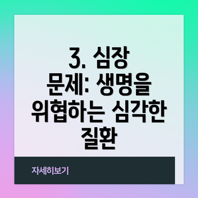 3. 심장 문제: 생명을 위협하는 심각한 질환