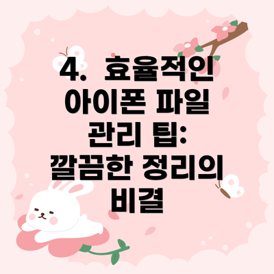 4.  효율적인 아이폰 파일 관리 팁: 깔끔한 정리의 비결