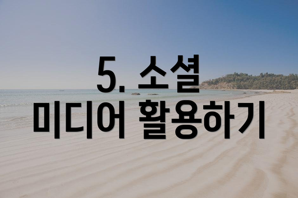 5. 소셜 미디어 활용하기