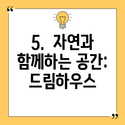 5.  자연과 함께하는 공간: 드림하우스