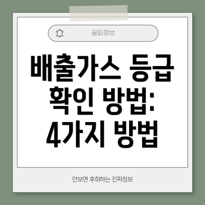 배출가스 등급 확인 방법: 4가지 방법