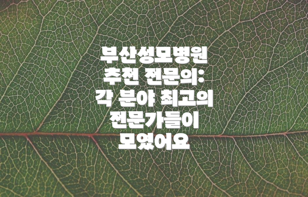 부산성모병원 추천 전문의: 각 분야 최고의 전문가들이 모였어요