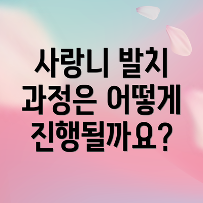 사랑니 발치 과정은 어떻게 진행될까요?