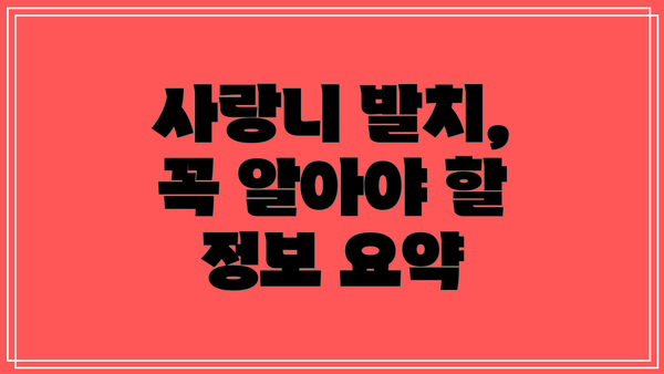 사랑니 발치, 꼭 알아야 할 정보 요약