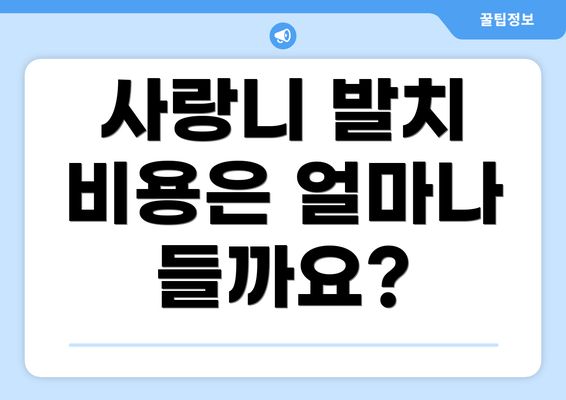 사랑니 발치 비용은 얼마나 들까요?