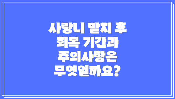 사랑니 발치 후 회복 기간과 주의사항은 무엇일까요?