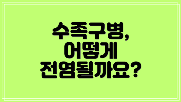 수족구병, 어떻게 전염될까요?