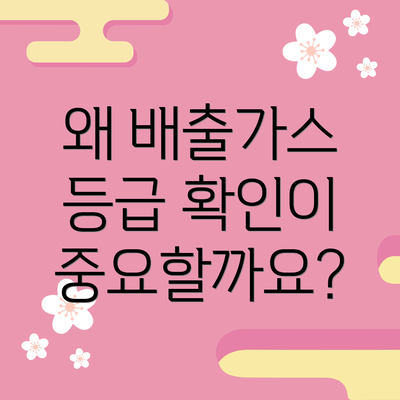 왜 배출가스 등급 확인이 중요할까요?
