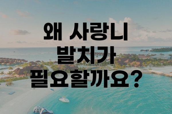 왜 사랑니 발치가 필요할까요?