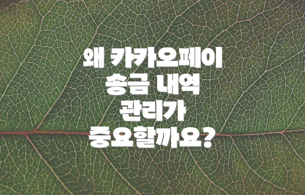 왜 카카오페이 송금 내역 관리가 중요할까요?