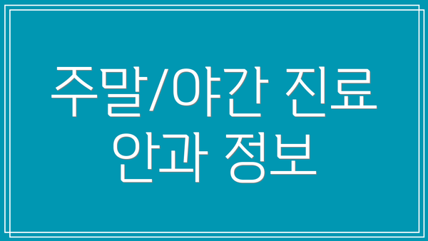 주말/야간 진료 안과 정보