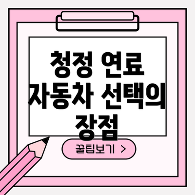 청정 연료 자동차 선택의 장점