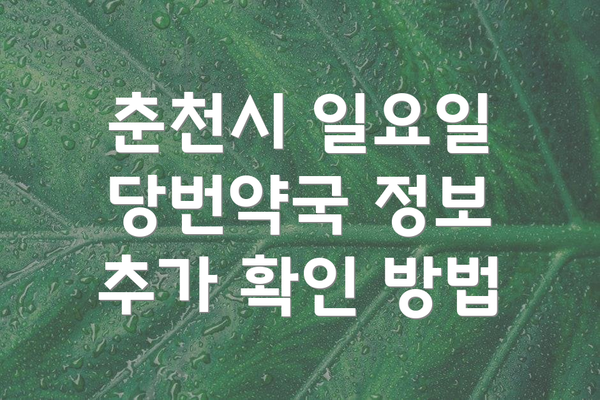 춘천시 일요일 당번약국 정보 추가 확인 방법