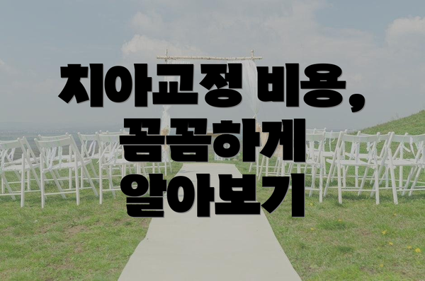치아교정 비용, 꼼꼼하게 알아보기