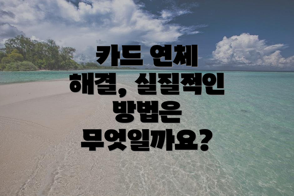 카드 연체 해결, 실질적인 방법은 무엇일까요?