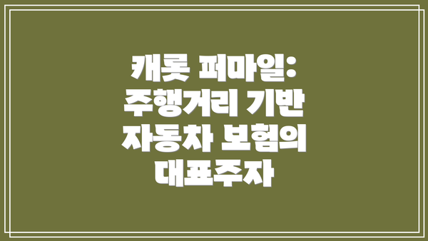 캐롯 퍼마일: 주행거리 기반 자동차 보험의 대표주자