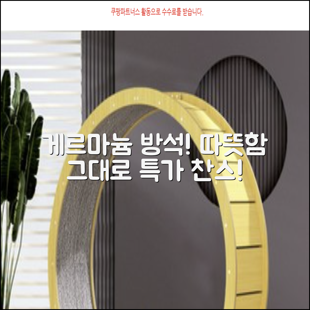 한일메디칼 GERMANIUM 게르마늄 온열 건강방석, 1인용 48X48mm, 1개 추천 리뷰