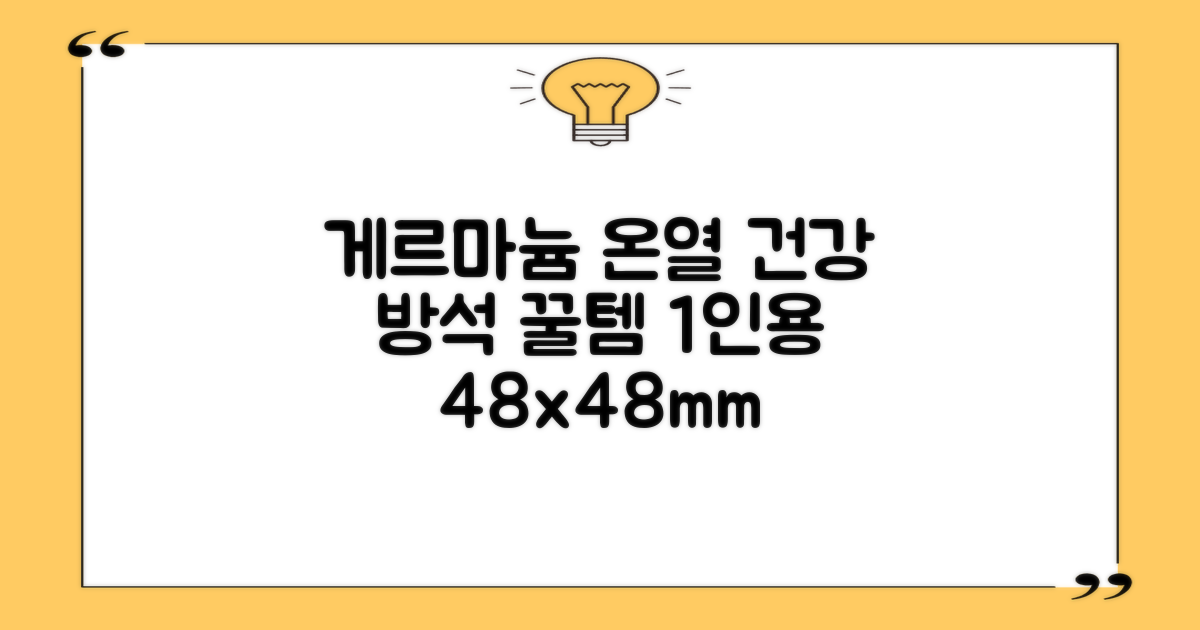 한일메디칼 GERMANIUM 게르마늄 온열 건강방석, 1인용 48X48mm, 1개 추천 리뷰