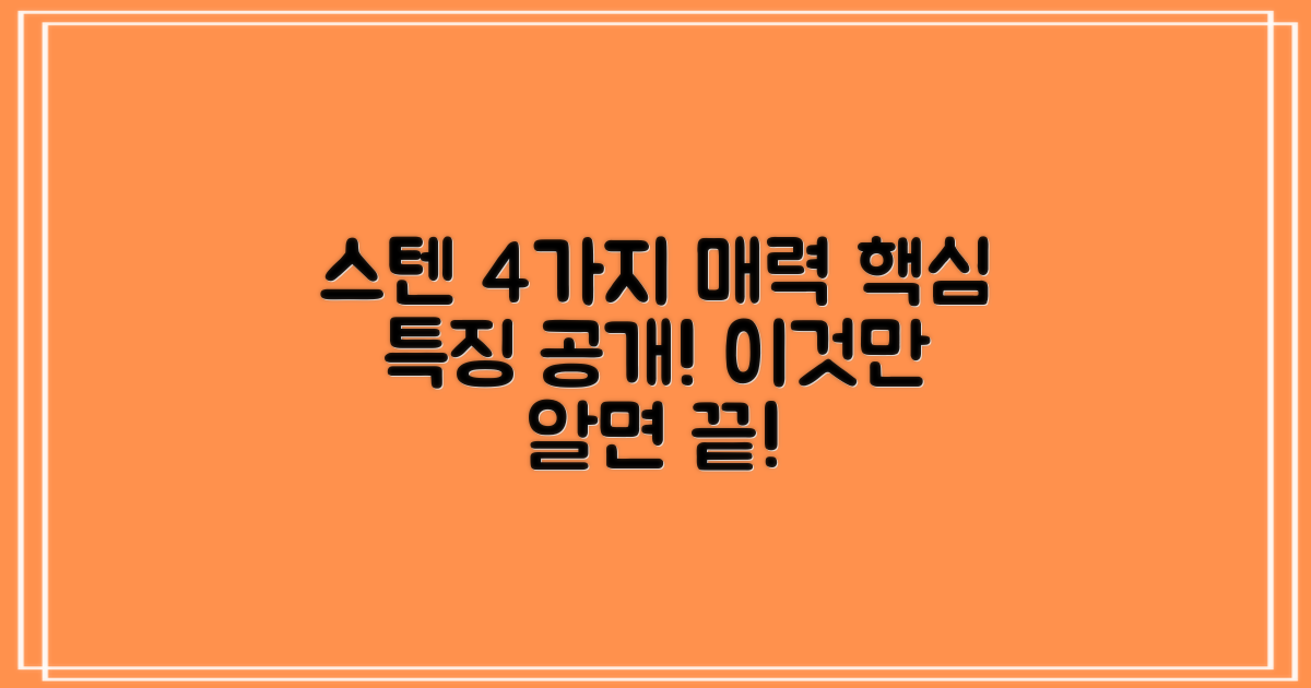 4가지 스텐 특징