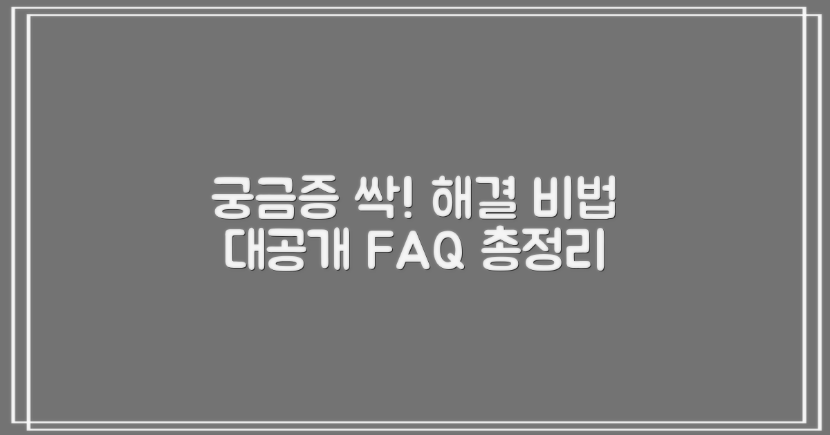 자주 묻는 질문